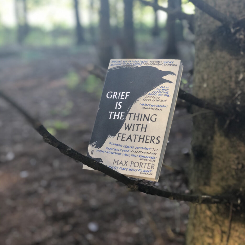 grief is the thing with feathers review